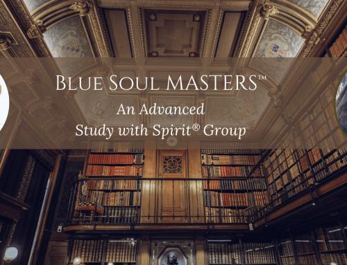 Blue Soul MASTERS® Level I Announced