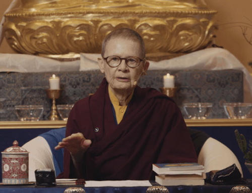 Discover Presence & Compassion for Self with Pema Chödrön